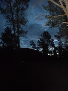 DSCN0969