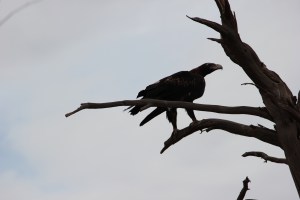 IMG_1284