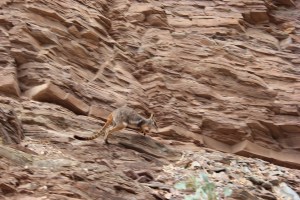 IMG_1421
